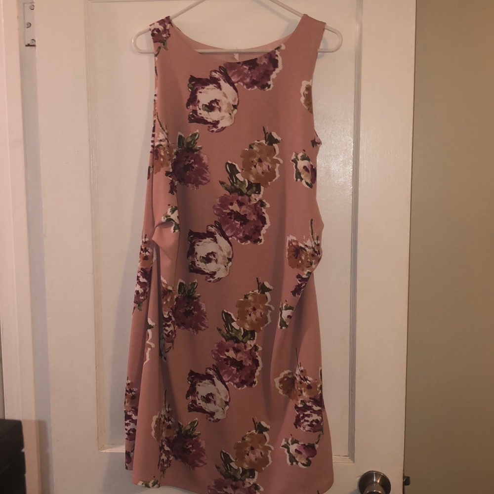Pinkblush Dress